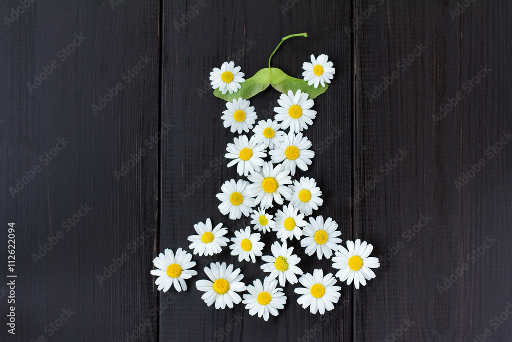 Obraz premium summer wardrobe with fashionable floral dress/ idea a summer dress of daisies on a green maple seeds hanger 