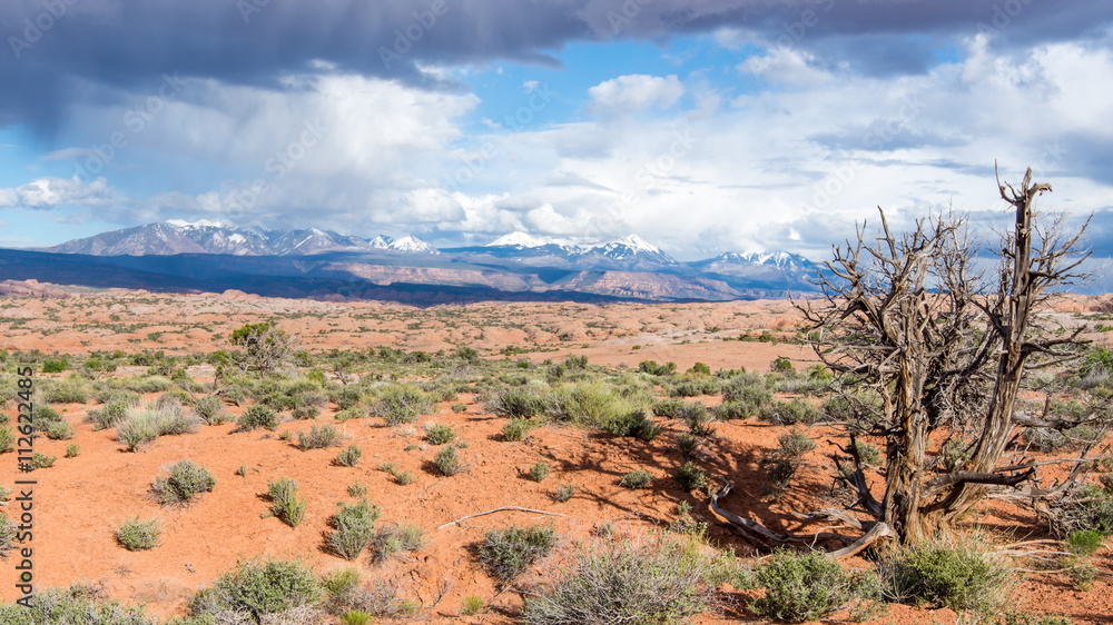 Storm Clouds, La Sal Mountains Viewpoint, Arches National Park, UT Storm Clouds, La Sal Mountains Viewpoint, Arches National Park, UT
