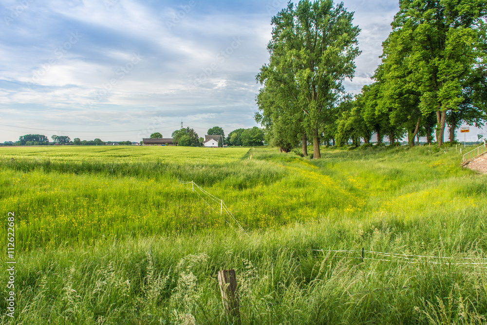 custom made wallpaper toronto digital0310 Landschaft am Niederrhein