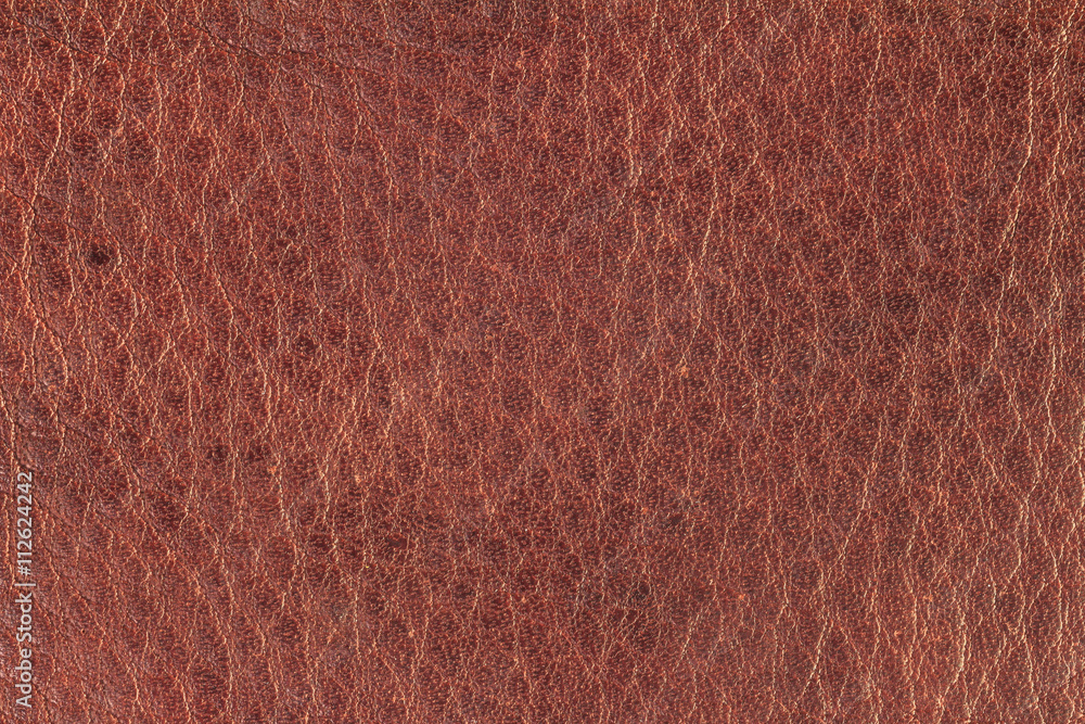 Fototapeta premium Red brown leather texture, Red brown leather bag, Red brown leather background for design with copy space for text or image.