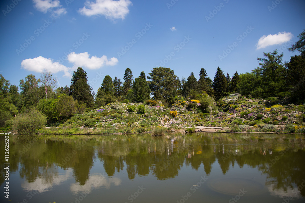 Fototapeta premium Alpen Garten