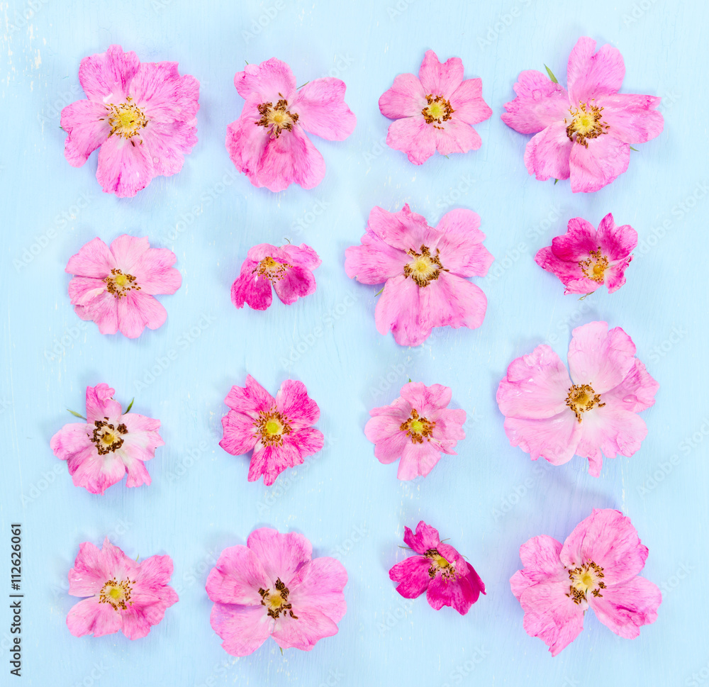 Flat lay composition with pink flowers