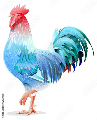 Blue Rooster symbol 2017 by Chinese calendar