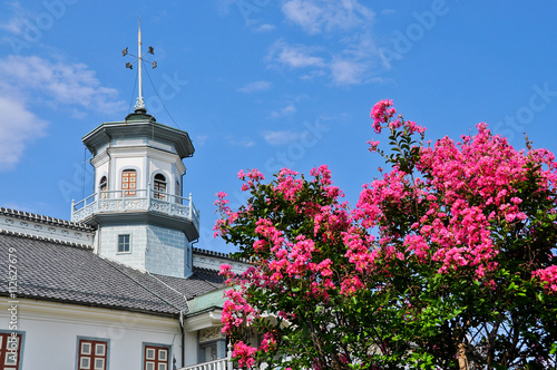 百日紅と旧開智学校