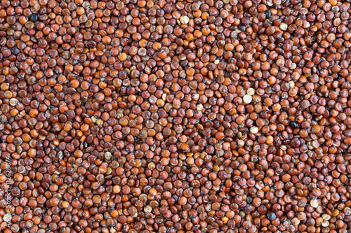 Very close view of red quinoa