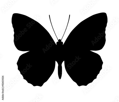 Silhouette of butterfly, isolated on white, vector illustration
