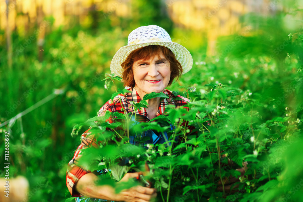 Woman in garden. Woman in garden.