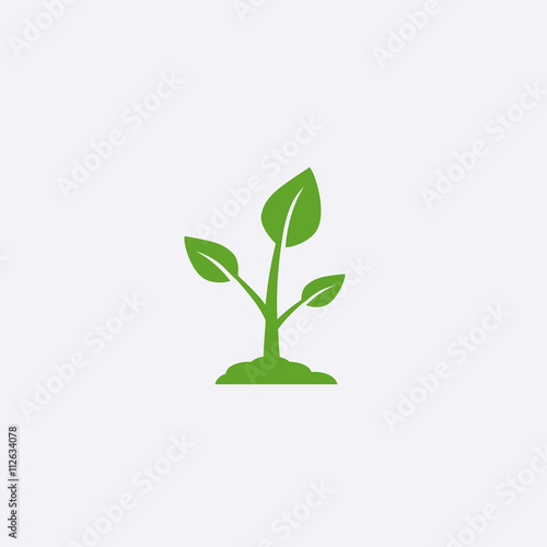 Sprout vector icon
