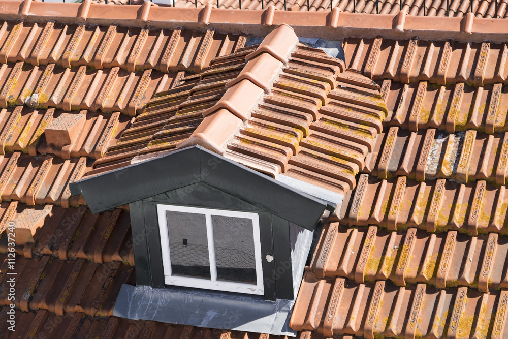 Beautiful terracotta roof tiles of a house in Lisbon Beautiful terracotta roof tiles of a house in Lisbon