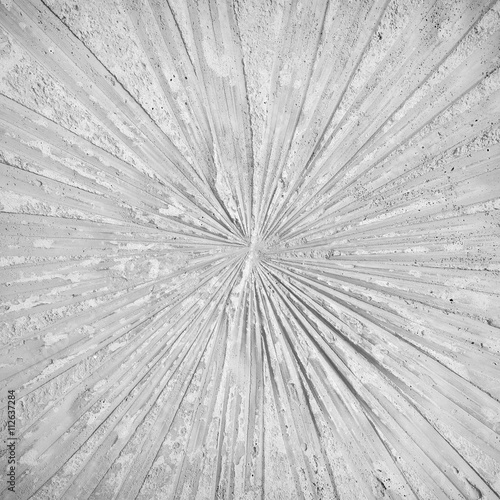 marks of leaf on gay concrete background