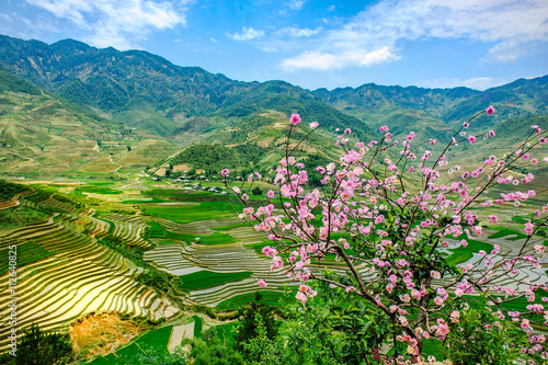 Terraced rice paddy in Tu Le district of Yen Bai province, north Vietnam. photo