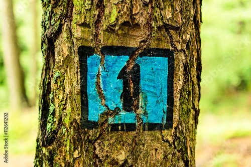 trail sign in the forest - outdoor activity in italy