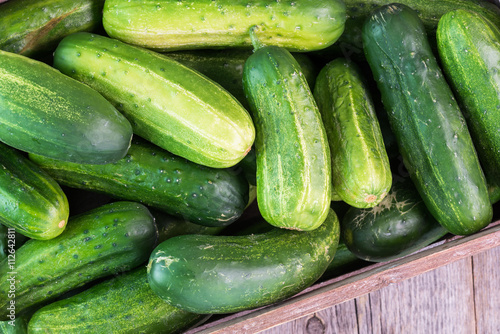 Farm organic cucumbers in crate.