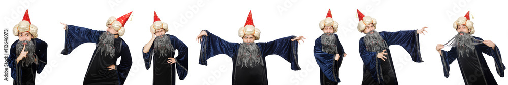 Funny wise wizard isolated on the white Funny wise wizard isolated on the white