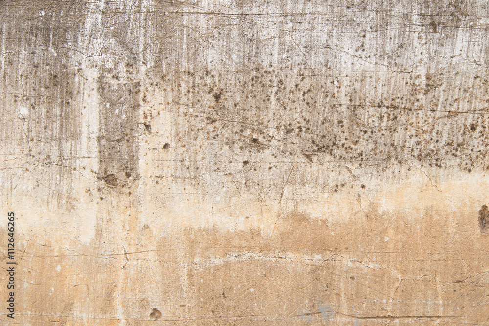Fototapeta premium Cracked cement wall 