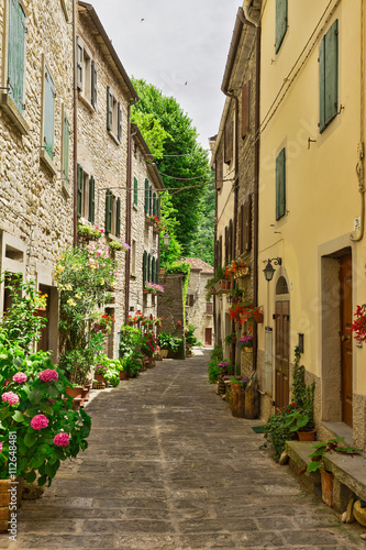Fototapeta Naklejka Na Ścianę i Meble -  Narrow street with flowers in Italy