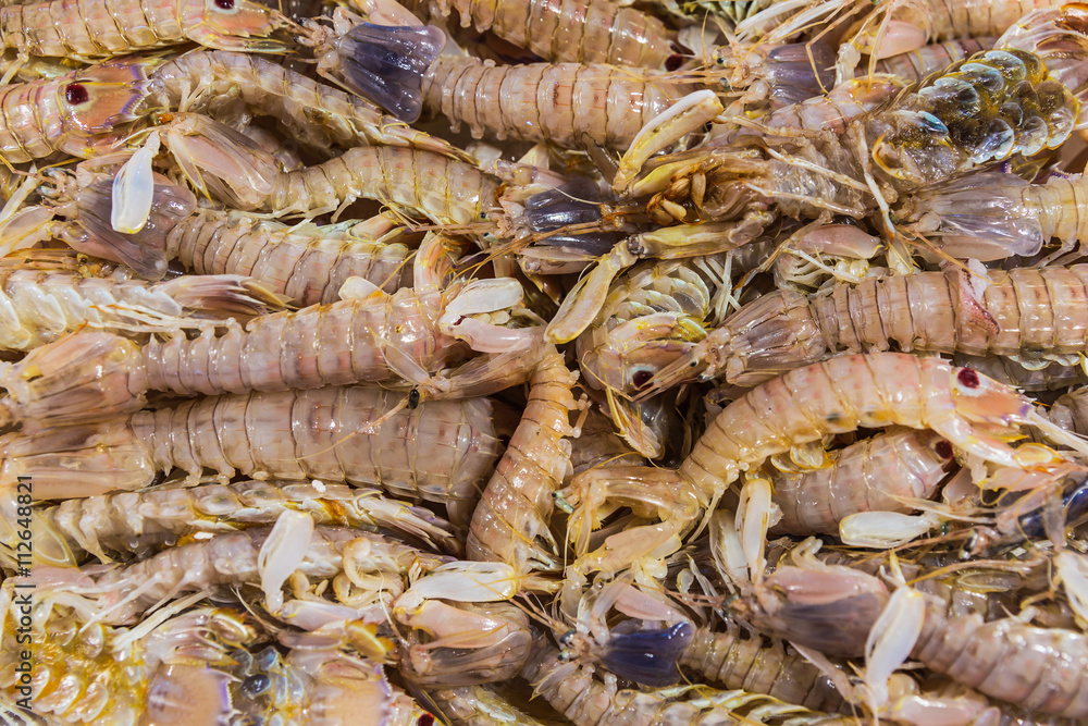 Fresh Shrimps Fresh Shrimps