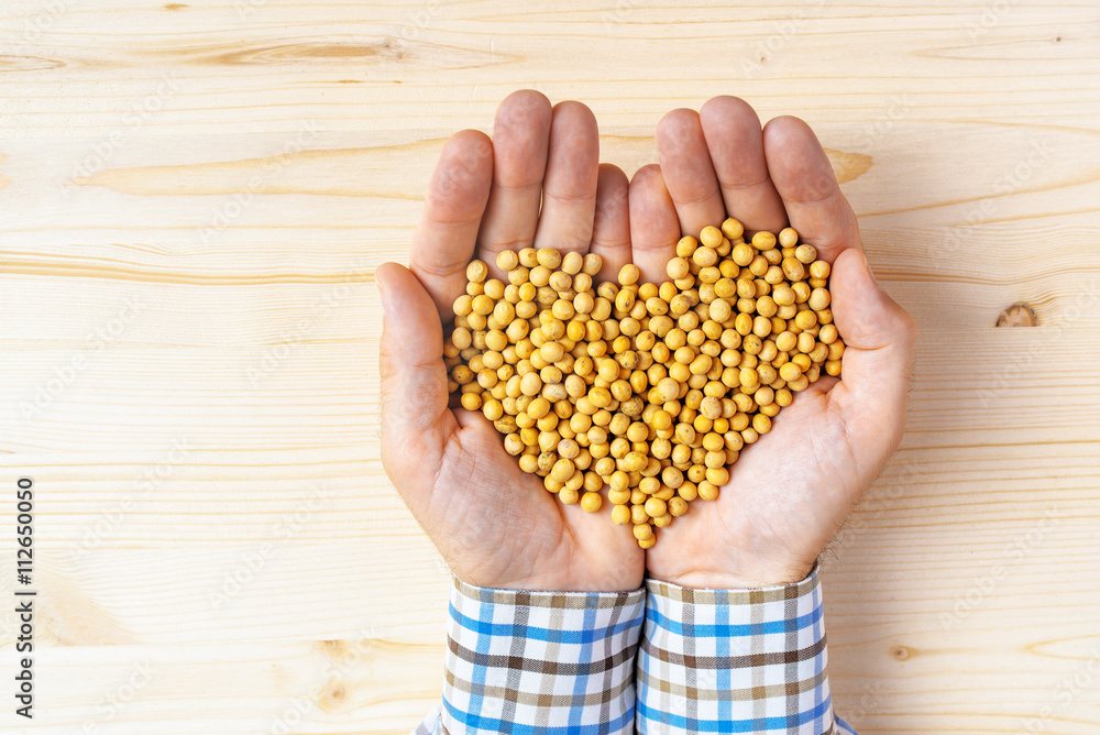 Obraz premium Handful of harvested soybeans heart-shaped pile, top view