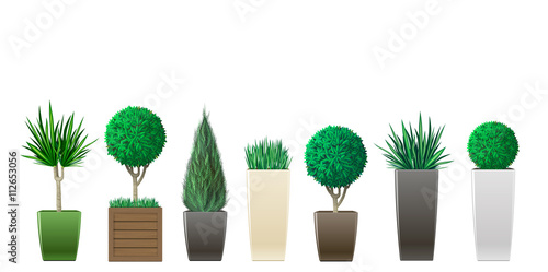 Set of decorative plants in pots of different sizes and colors in vector graphics photo
