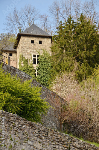 Jardin de Conflans (Savoie)