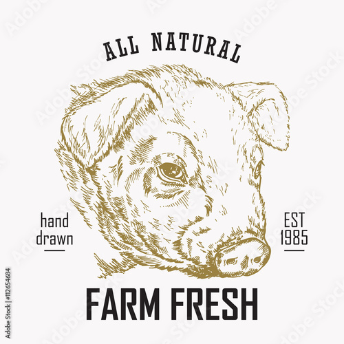 Hand drawn food logo. Engraved pig head isolated on white 
