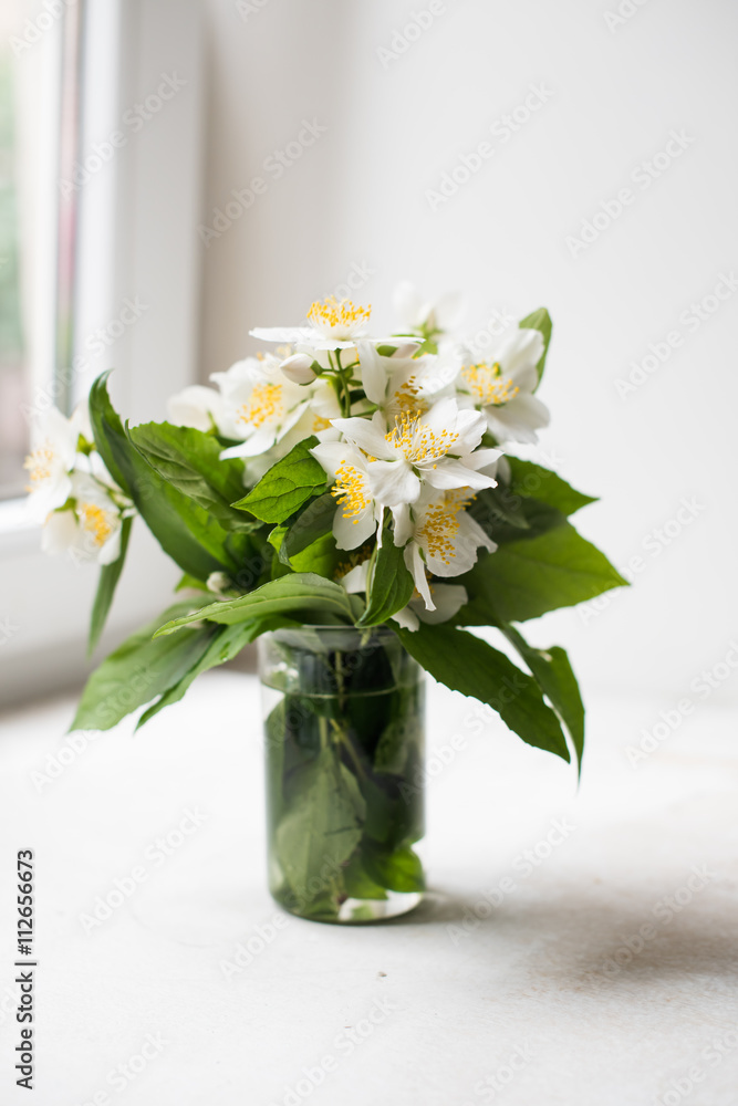 Bouquet of fresh white summer jasmine flowers Bouquet of fresh white summer jasmine flowers