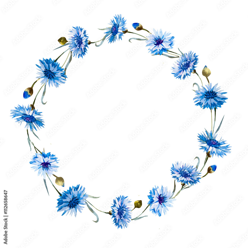 Obraz premium Cornflower watercolor wreath