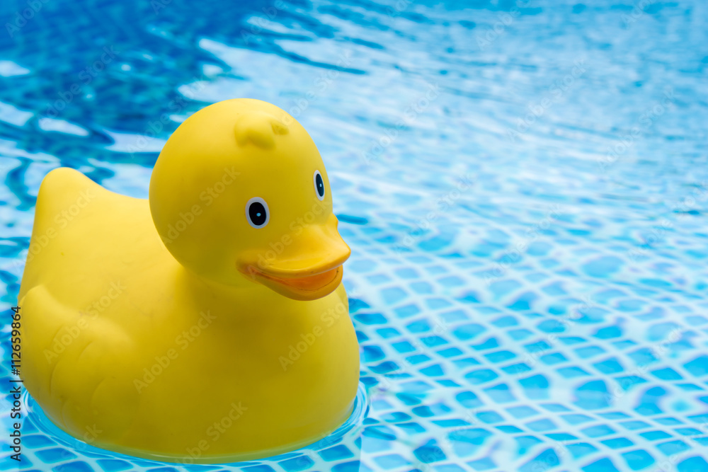 Quietscheentchen im Pool im eigenen Garten Quietscheentchen im Pool im eigenen Garten