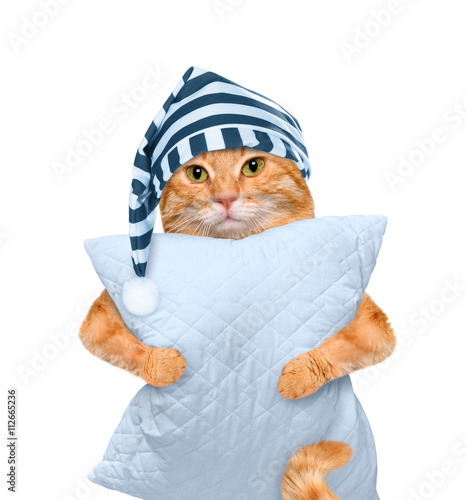 Fototapeta Naklejka Na Ścianę i Meble -  Cat with a pillow. Isolated on white.