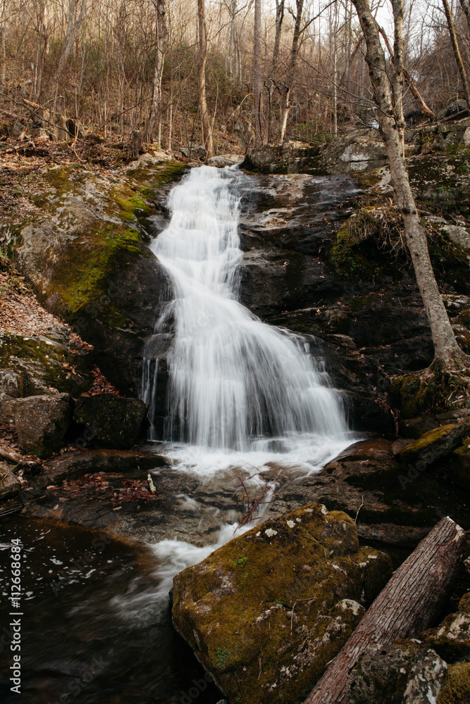 Waterfall in forest Waterfall in forest