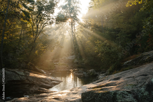 Flowing river, sunlight coming through surrounding trees photo