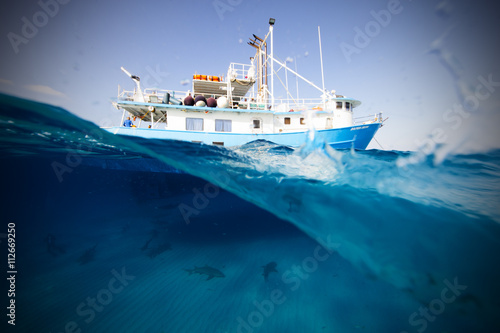 Boat on sea with sharks, split view 