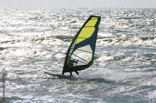 Windsurfer