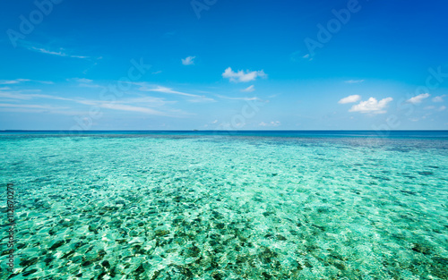 Turquoise water of the Indian Ocean. Corals on the sea floor. Maldives.