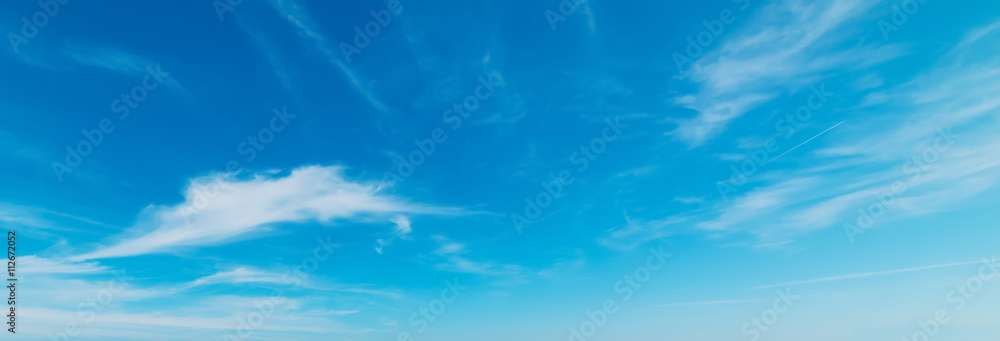 clouds in a summer sky clouds in a summer sky