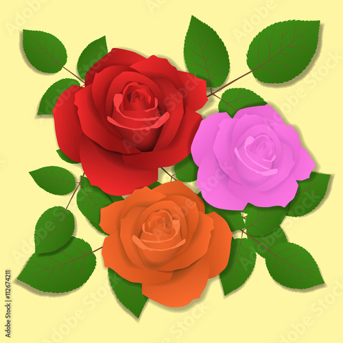 Rose. Red  Magenta  Orange flower. Vector illustration