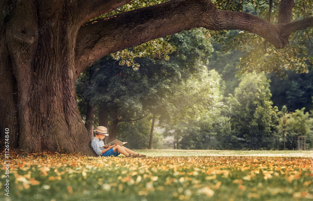 © Soloviova Liudmyla - Little boy reading a book under big linden tree © Soloviova Liudmyla - Little boy reading a book under big linden tree