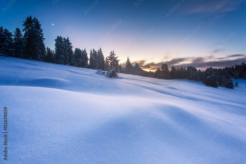 Trees on snow covered landscape at sunset Trees on snow covered landscape at sunset