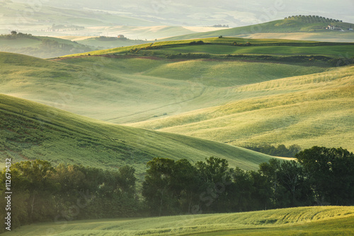 golden hills in morning glory in Tuscany in Italy