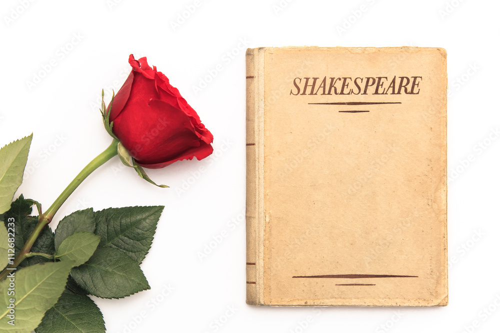 Naklejka premium An old book by Shakespeare and a red rose sit on a white background