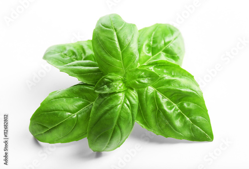 Fresh basil leaves on white background