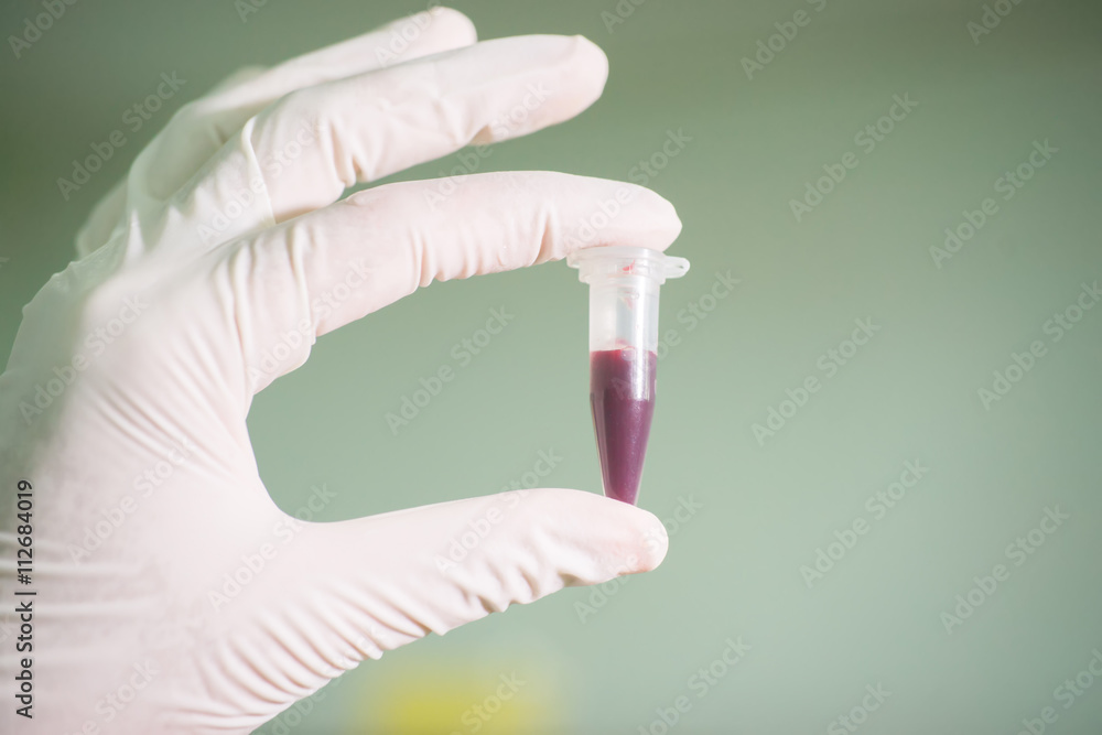 micro test tube micro test tube