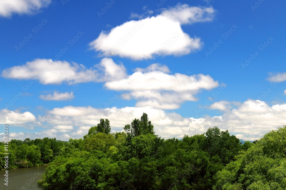 雲と川と林