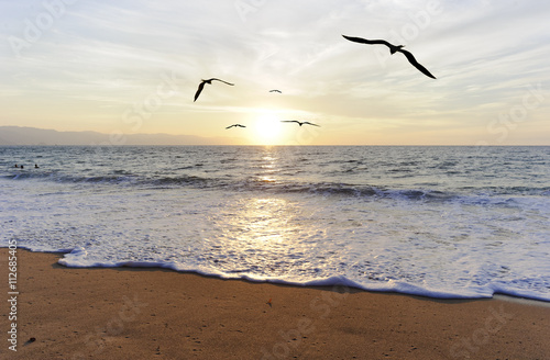 Canvas Print Birds Silhouettes