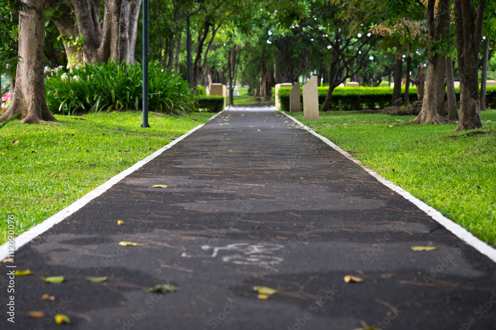 Bike line in park.