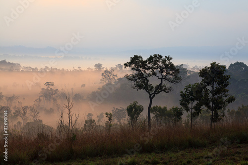 Misty morning sunrise at Thung Salang Luang National Park Phetch