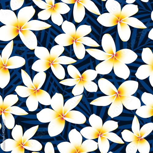 Tropical white frangipani plumeria flower seamless pattern