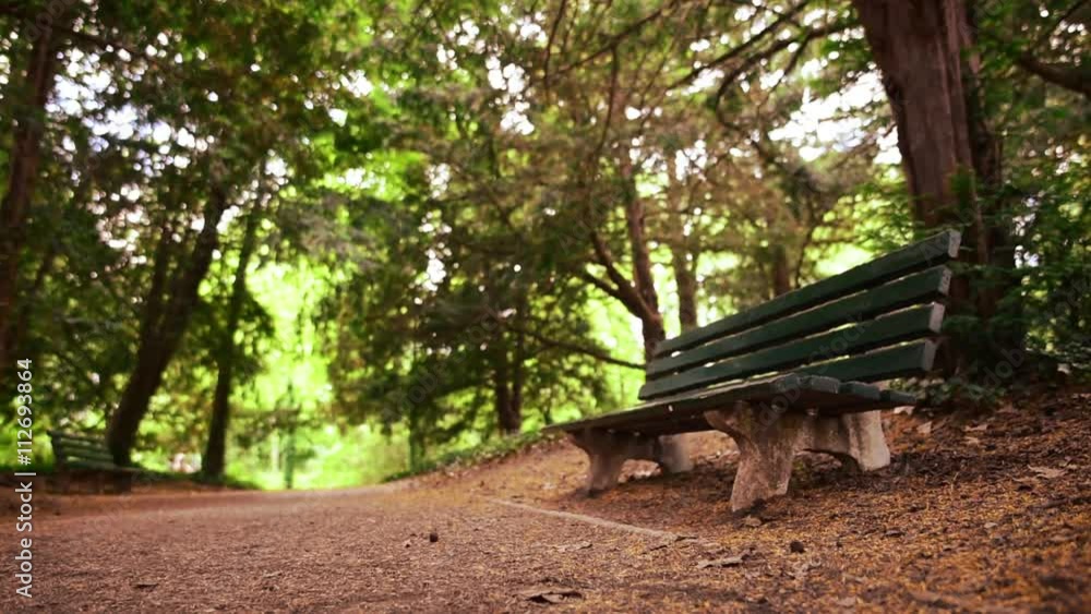 Red hot color tone, Old green wooden bench in the garden. Red hot color tone, Old green wooden bench in the garden.