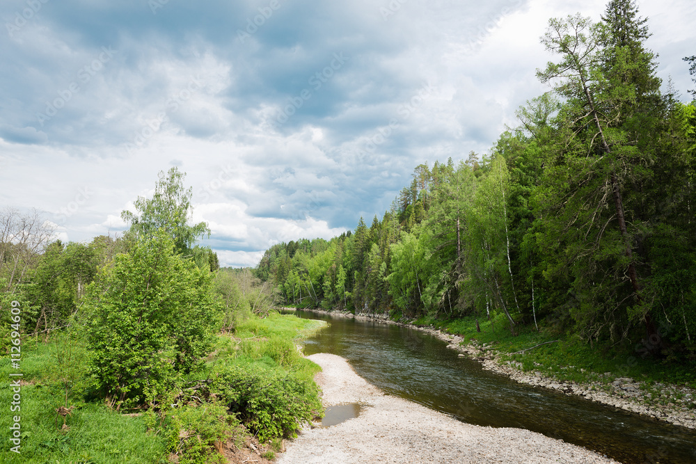 landscape with trees and a river in front