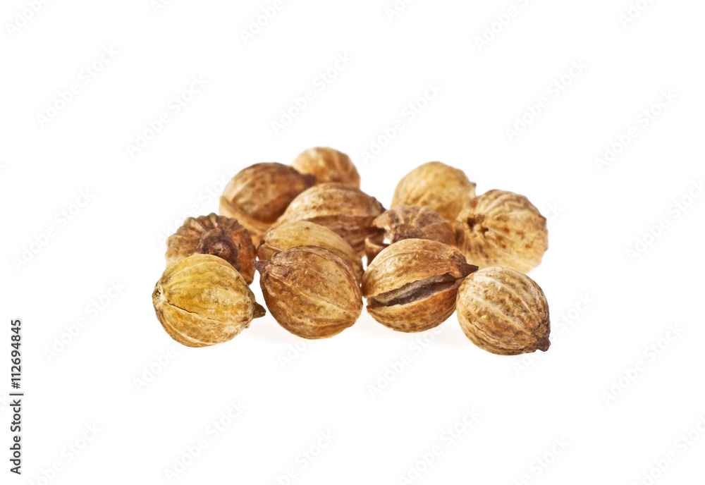 Coriander seeds isolated on white background Coriander seeds isolated on white background